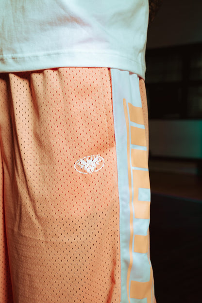 MUTT " Bone Collector" Hoop Shorts (Pink)